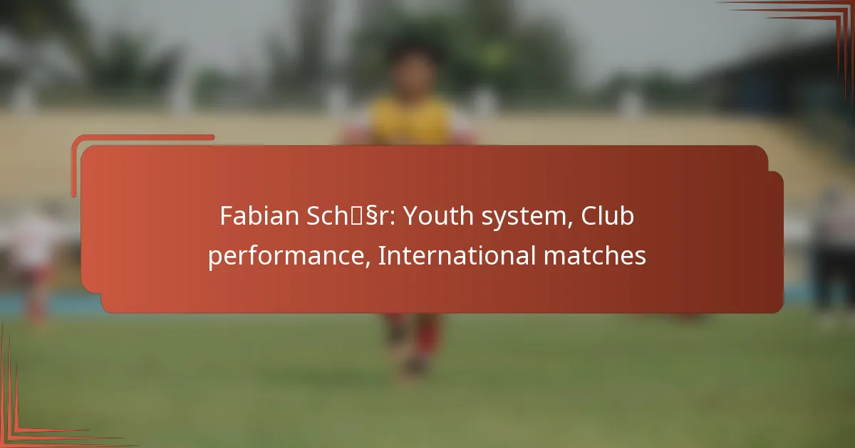 Fabian Schär: Youth system, Club performance, International matches
